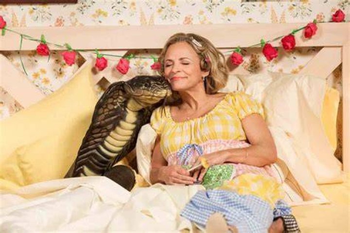 Amy Sedaris Net Worth