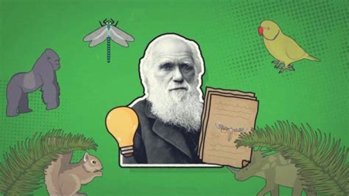 Darwin