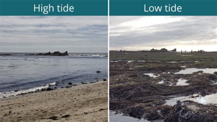 Exciting Updates on Low Tide in Twilight Chapter 73 Release