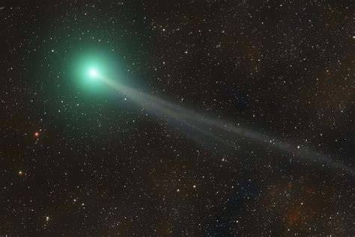 Green Comet Nishimura