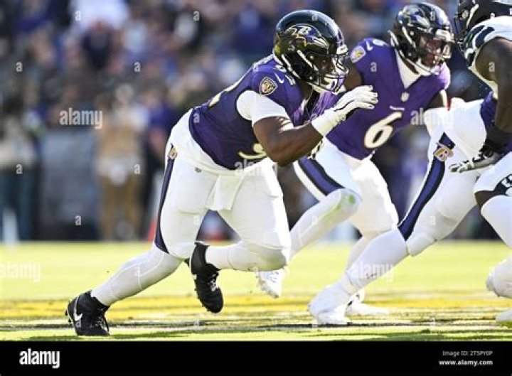Himself - Baltimore Ravens Defensive Coordinator / Himself - Cincinnati Bengals Head Coach / Himself - Baltimore Ravens Offensive Coordinator / Himself - Pittsburgh Steelers Linebackers Coach / Himself - Washington Redskins Defensive Coordinator