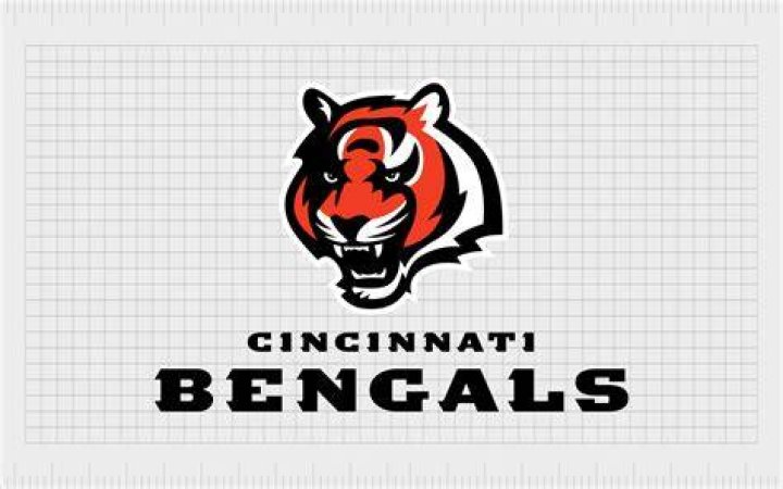 Himself - Cincinnati Bengals Head Coach / Himself - Baltimore Ravens Defensive Coordinator / Himself - Pittsburgh Steelers Linebackers Coach