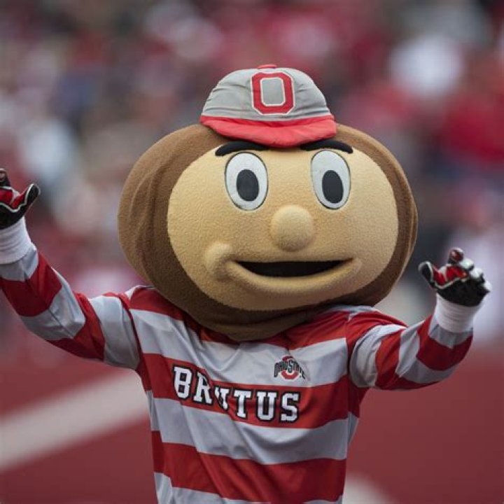 Himself - Ohio St. Buckeyes Defensive Back