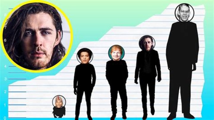 How Tall is Hozier?