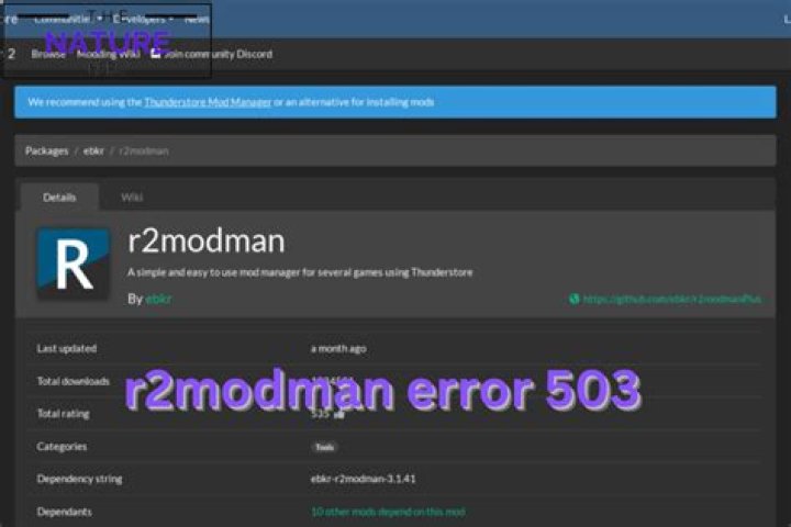 How to Fix / Solve R2modman Error 503 - SarkariResult
