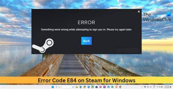 How to Fix Steam Error e502 l3