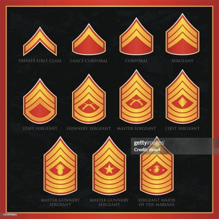 Marine Sergeant