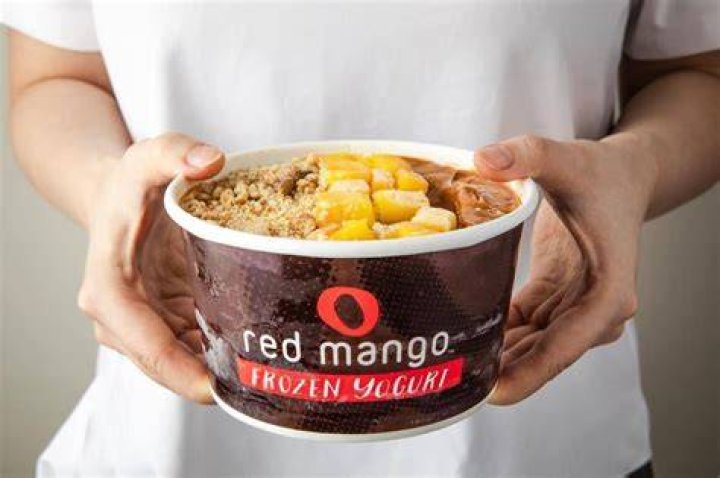 Red Mango: A Delicious Frozen Yogurt and Smoothie Chain