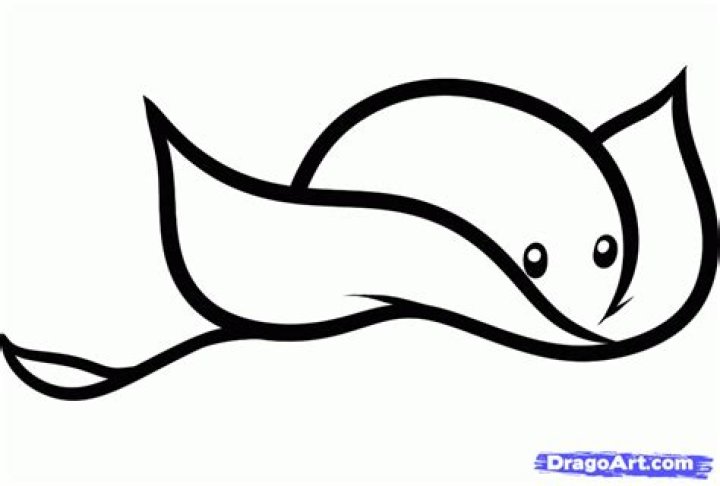 Rick Stingray