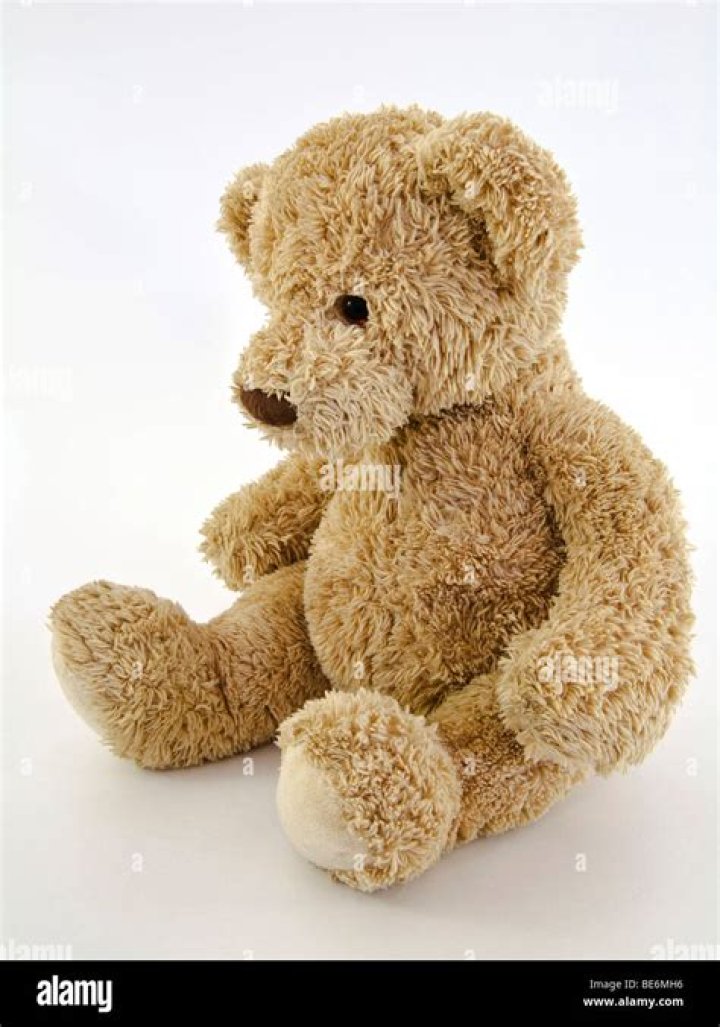 Teddy