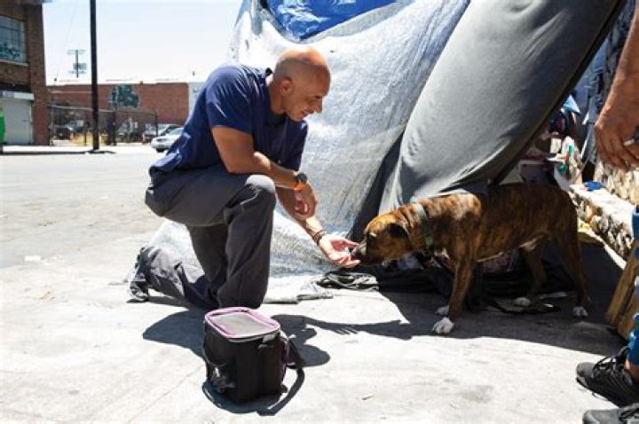 The Homeless Vet