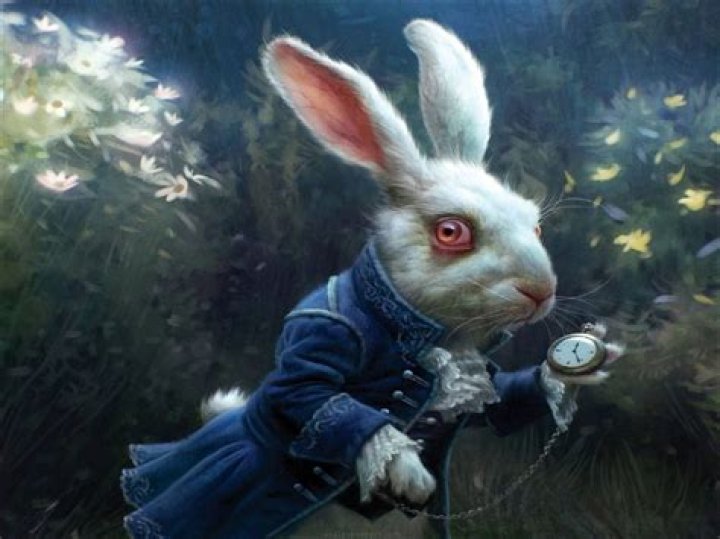 The White Rabbit
