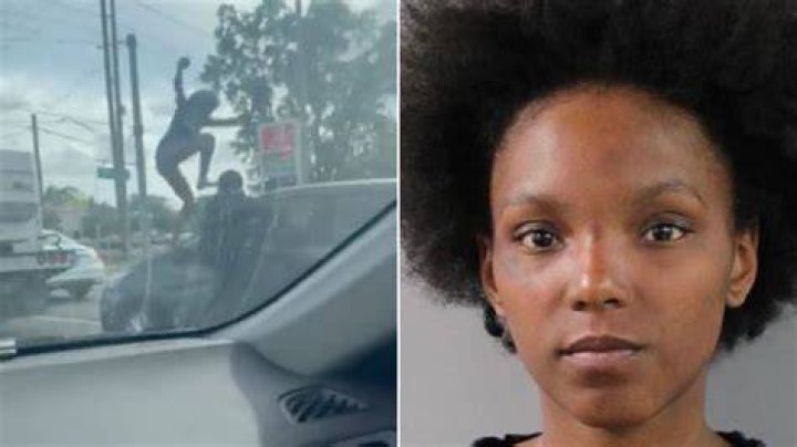 Unsettling Incident in Florida: Woman's Body Found Detained in Alligator's Jaws
